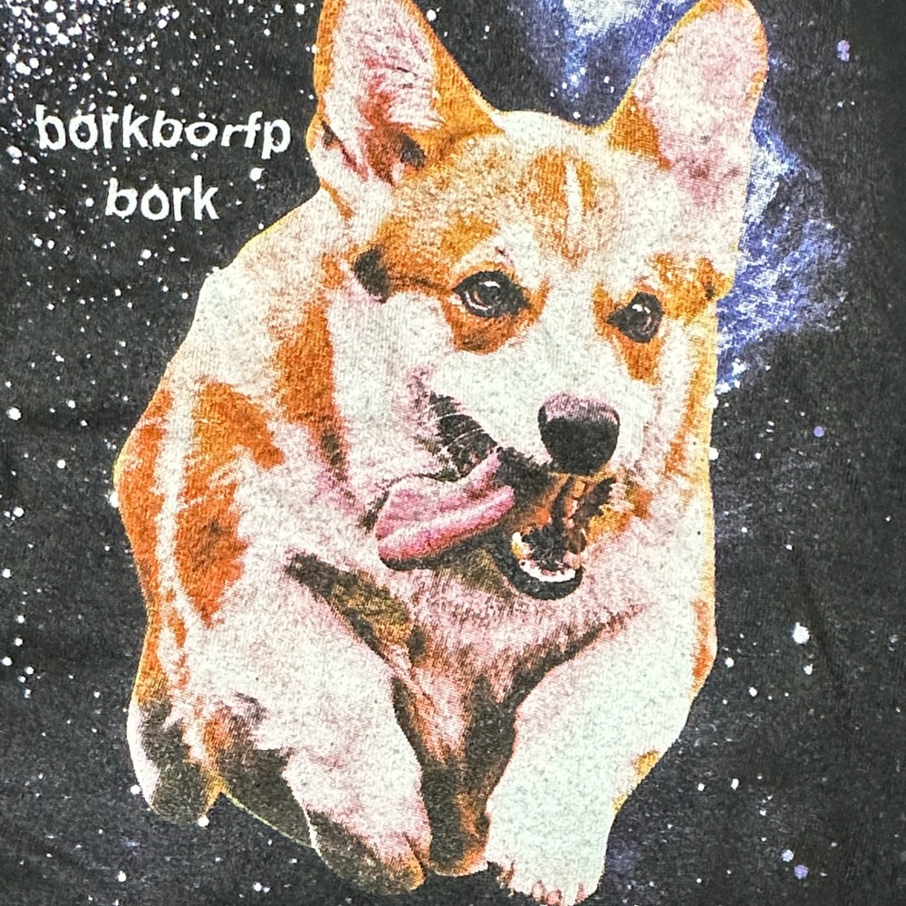 Black Matter Black Tee with Corgi Galaxy Print - Picture 4 of 7